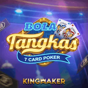 Bingo Plus Partner