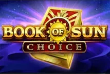 Online Poker Partner